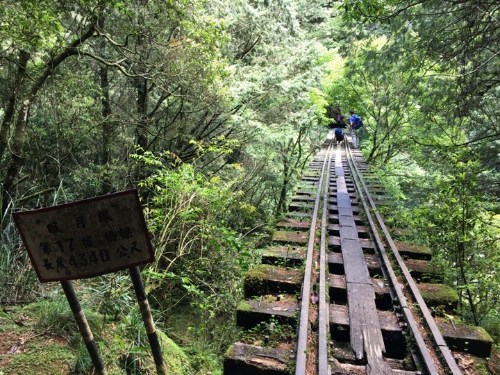 一個人探訪消失在雲霧中的森林鐵道-阿里山眠月線