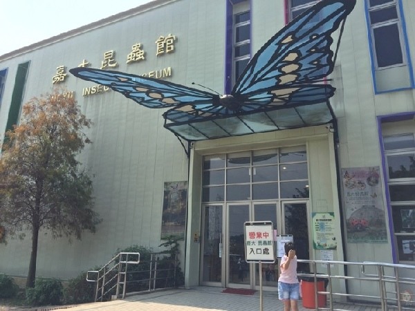 【嘉義景點】親子景點:嘉大昆蟲館-全球唯一彩蝶柱