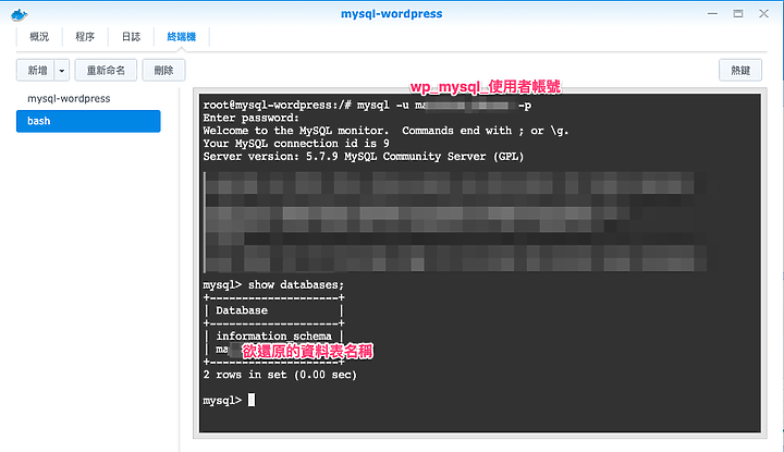 [教學] Wordpress / Linux 網站服務不中斷! Synology NAS Docker + GoBackup 備份術搭建備援站點