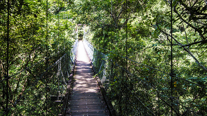 點我看大圖 別給我像是天堂的懸崖—花蓮錐麓古道