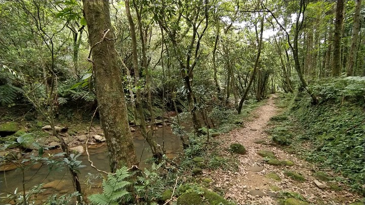 [樂山童盟] [新北雙溪] 虎豹潭古道-樓仔厝古道