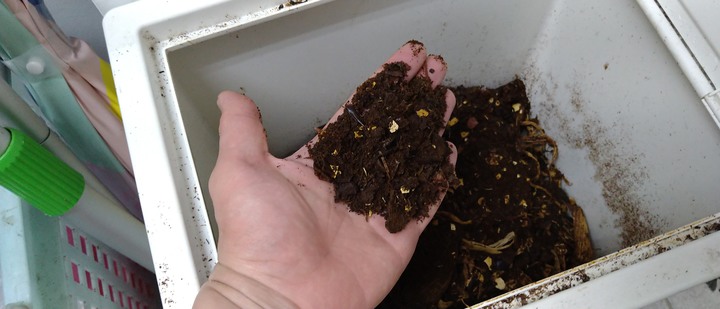 [公寓改建] 好質感也要接地氣  日式/北歐簡約/ 新北老公寓改建滿一年心得