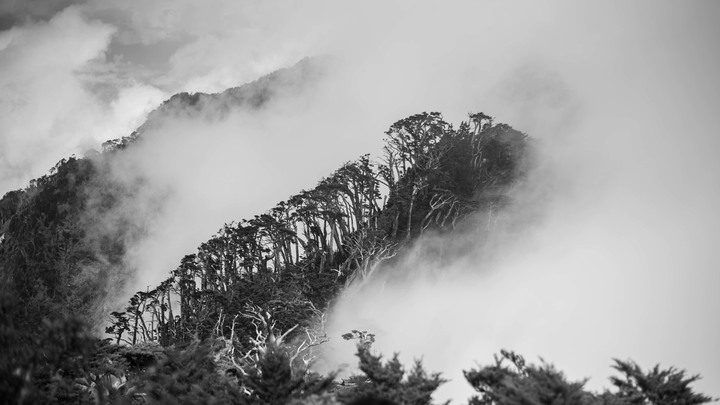 點我看大圖 登山道|北大武・單攻