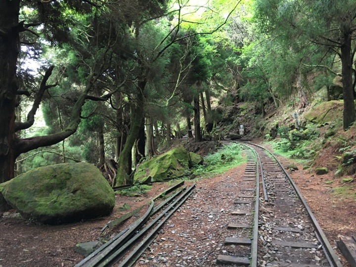 一個人探訪消失在雲霧中的森林鐵道-阿里山眠月線