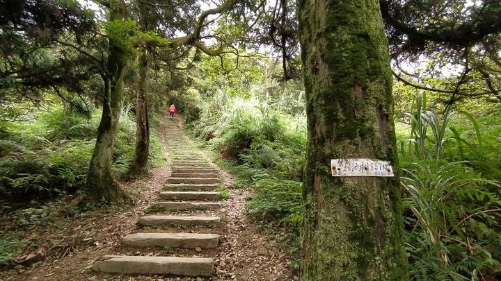 [樂山童盟] [基隆七堵] 姜子寮登山步道