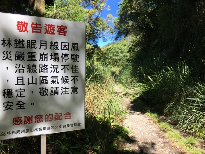 一個人探訪消失在雲霧中的森林鐵道-阿里山眠月線