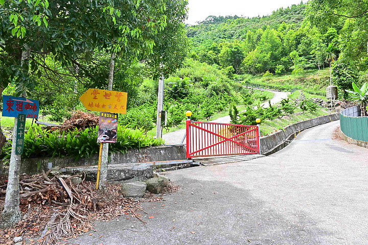 東道咖啡：88歲阿伯和87歲阿嬤歡迎大家上山品嚐他們家美味的咖啡