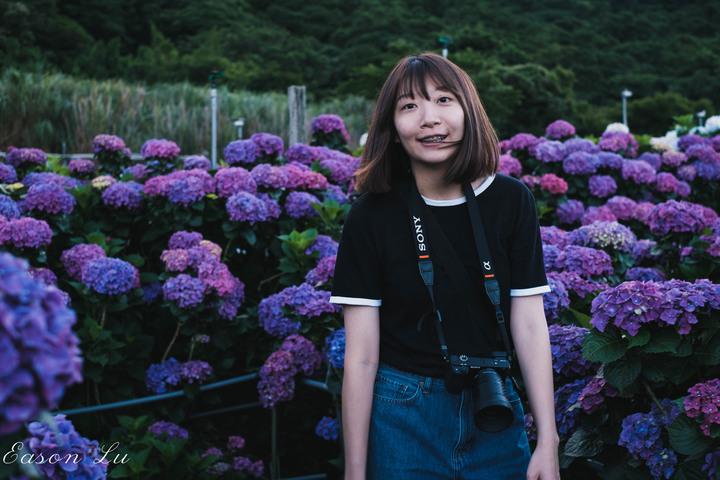 [陽明山] —你跟上這一波繡球花海了嗎?
