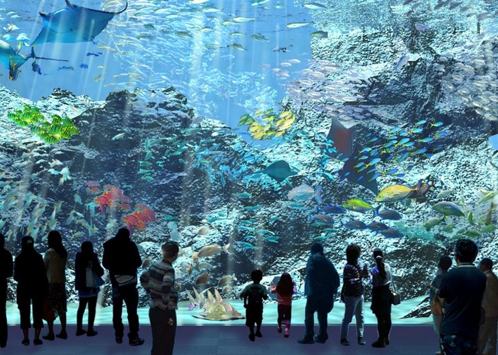 全台第一家「水族館飯店」搶先入住！海洋主題房打卡、北台最大水族館夜宿