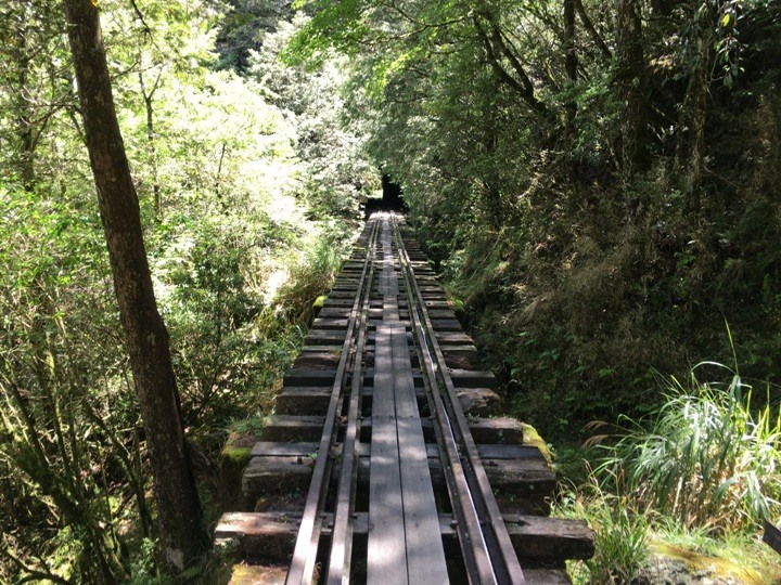 一個人探訪消失在雲霧中的森林鐵道-阿里山眠月線