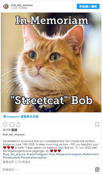 《遇見街貓BOB》最紅街貓「Bob」享年14歲,主人悲痛表示:「我生命的燈光熄滅了!」