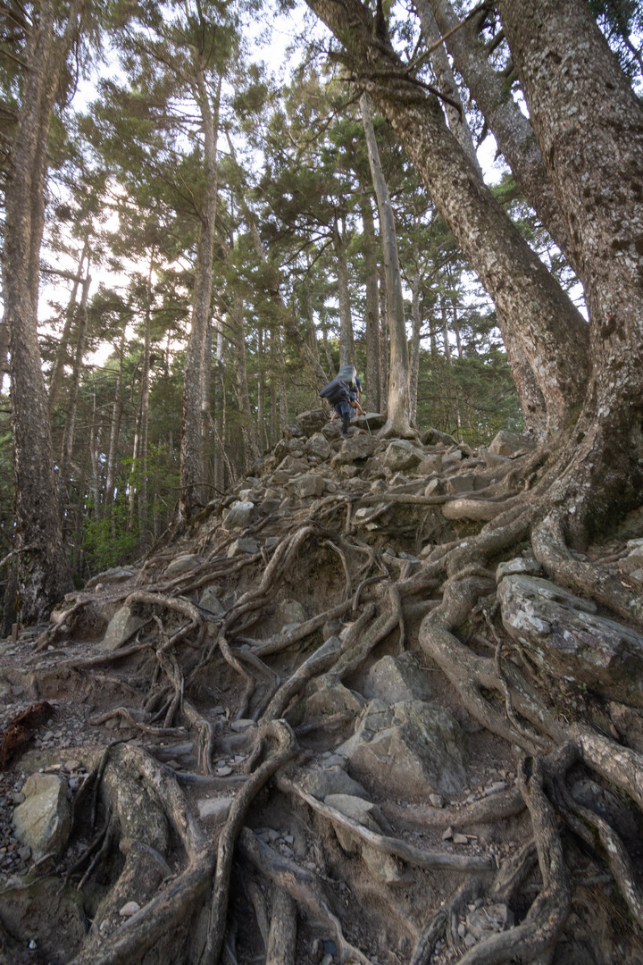 【南湖大山】你所未見的南湖大山