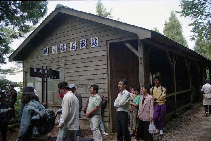 一個人探訪消失在雲霧中的森林鐵道-阿里山眠月線