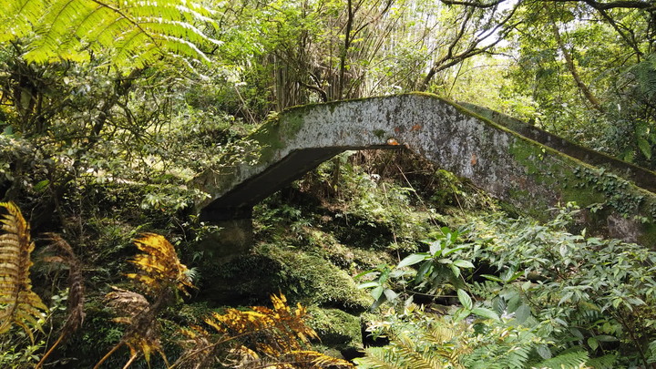 [樂山童盟] [新北雙溪] 虎豹潭古道-樓仔厝古道