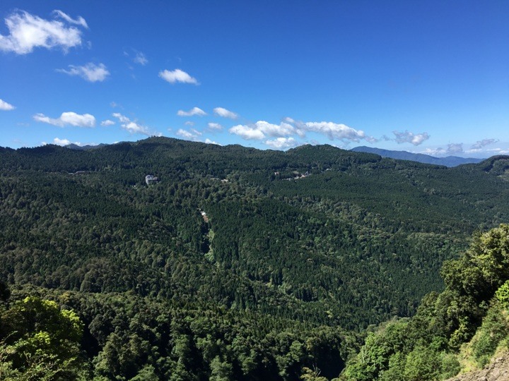 一個人探訪消失在雲霧中的森林鐵道-阿里山眠月線