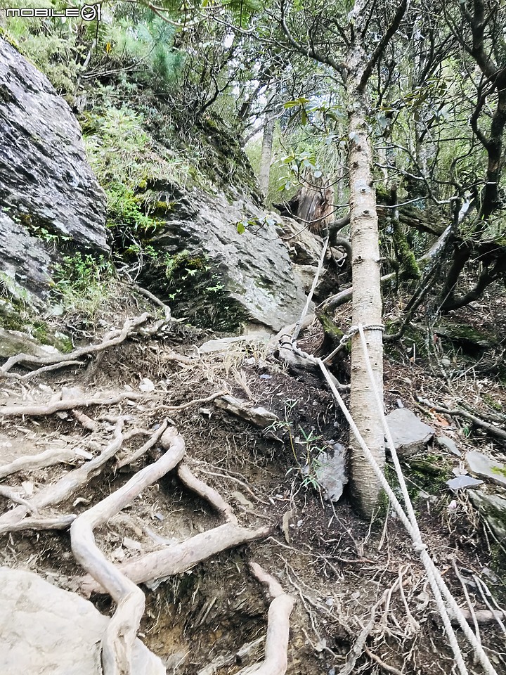【百岳】合歡西北峰2日行 – Day 2