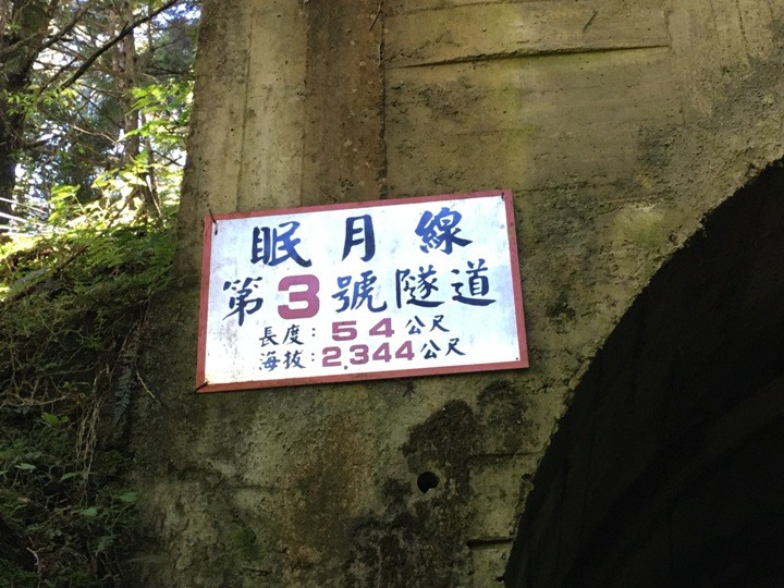 一個人探訪消失在雲霧中的森林鐵道-阿里山眠月線