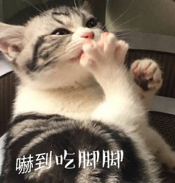 賀！！！ 台積電～～～連9漲！！！