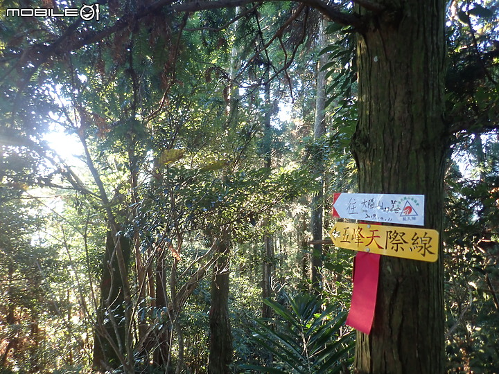 2019.11.17.一日五峰天際線(爬升近4千)挑戰路線