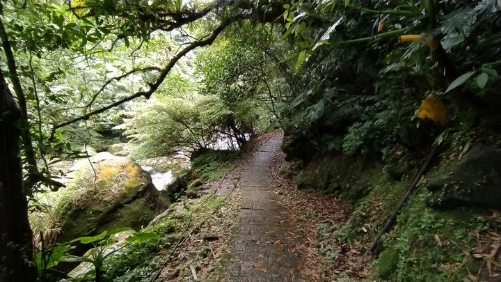 [樂山童盟] [新北石碇] 烏塗溪步道