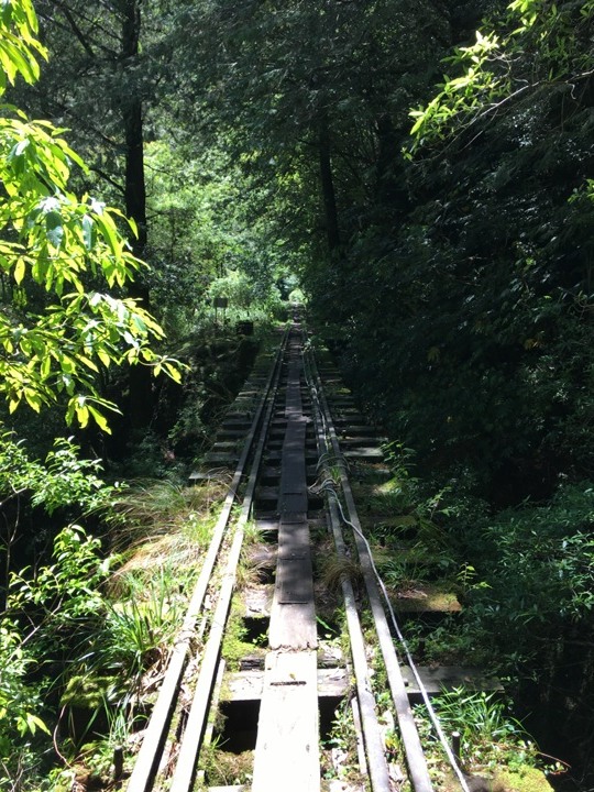 一個人探訪消失在雲霧中的森林鐵道-阿里山眠月線