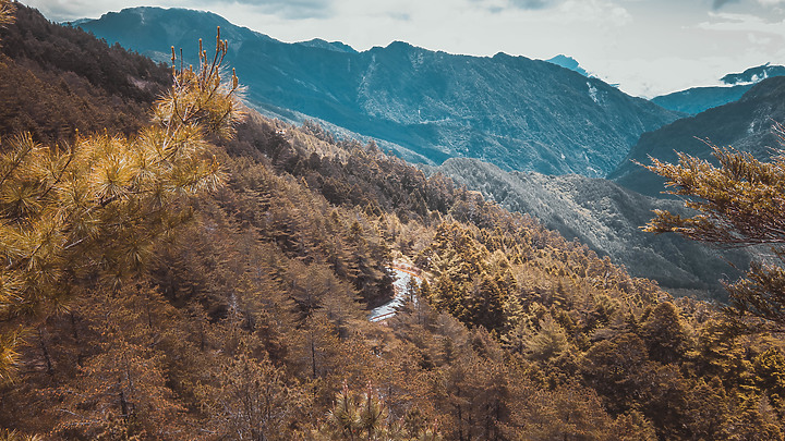 CP值爆表的百岳新手村—合歡北峰