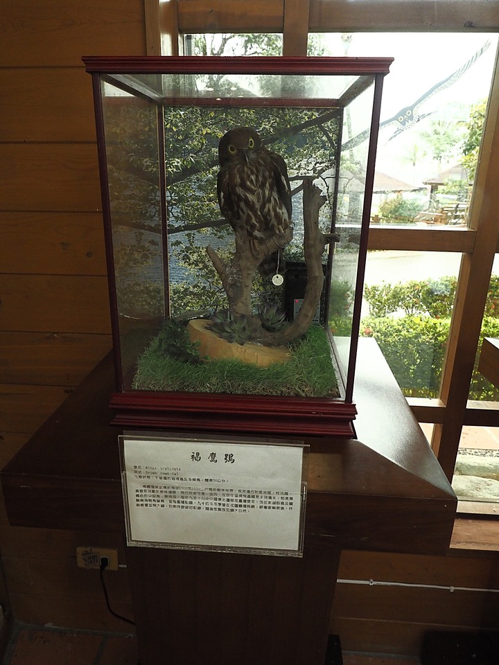 花蓮 台泥DAKA園區、CUME 咖哩、知卡宣森林公園、吉安火車站、美崙山生態展示館、台灣原住民族文化館、福杯滿溢民宿、戴記扁食—梅雨季中的花蓮旅行，第二部