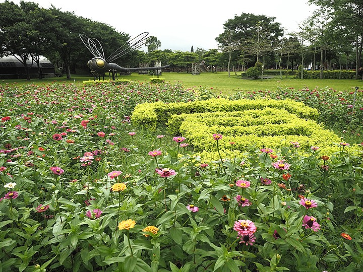 花蓮 台泥DAKA園區、CUME 咖哩、知卡宣森林公園、吉安火車站、美崙山生態展示館、台灣原住民族文化館、福杯滿溢民宿、戴記扁食—梅雨季中的花蓮旅行，第二部