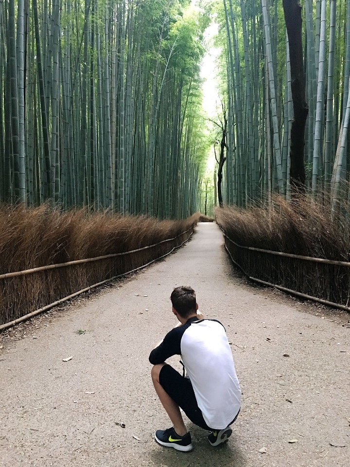 日本京都嵐山竹林之道