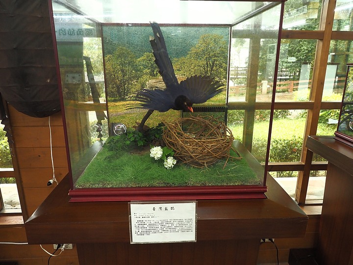 花蓮 台泥DAKA園區、CUME 咖哩、知卡宣森林公園、吉安火車站、美崙山生態展示館、台灣原住民族文化館、福杯滿溢民宿、戴記扁食—梅雨季中的花蓮旅行，第二部