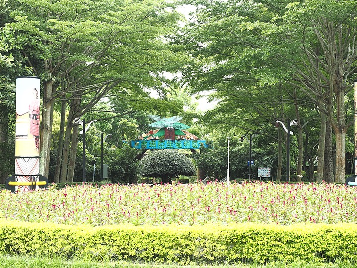 花蓮 台泥DAKA園區、CUME 咖哩、知卡宣森林公園、吉安火車站、美崙山生態展示館、台灣原住民族文化館、福杯滿溢民宿、戴記扁食—梅雨季中的花蓮旅行，第二部