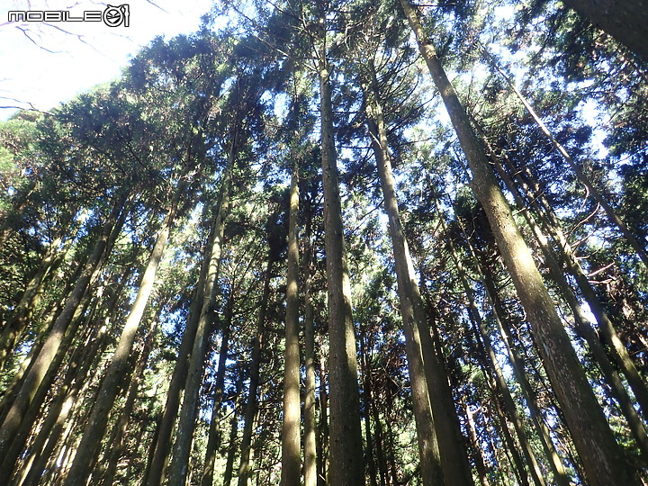 2019.11.17.一日五峰天際線(爬升近4千)挑戰路線