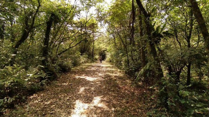 [樂山童盟] [新北雙溪] 虎豹潭古道-樓仔厝古道