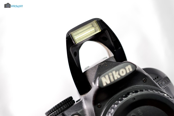 【NIKON D3100】32萬 VS 1萬 元件真的會老化!?
