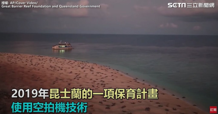 壯觀!空拍大堡礁6萬多隻綠蠵龜上岸產卵