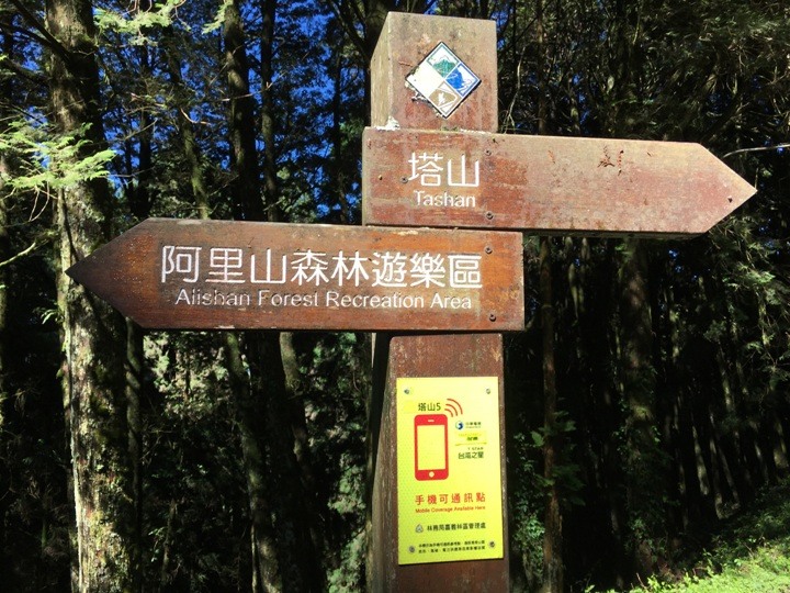 一個人探訪消失在雲霧中的森林鐵道-阿里山眠月線