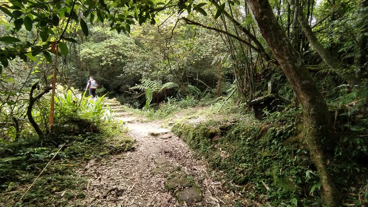 [樂山童盟] [新北雙溪] 虎豹潭古道-樓仔厝古道