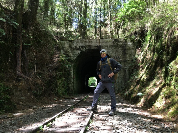 一個人探訪消失在雲霧中的森林鐵道-阿里山眠月線