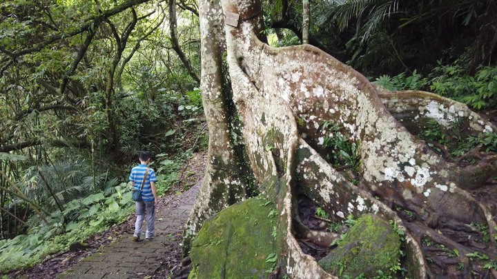 [樂山童盟] [新北石碇] 烏塗溪步道