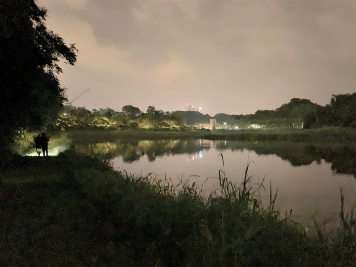 南港新庄仔埤-夜間生態觀察