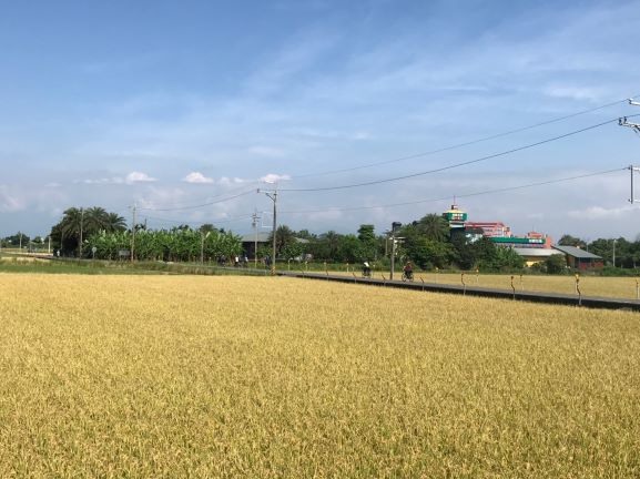把單車騎進故事裡-屬於平原恬適的顏色,幾度咖啡莊園的邂逅