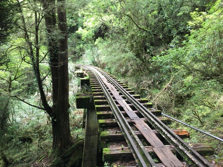 一個人探訪消失在雲霧中的森林鐵道-阿里山眠月線