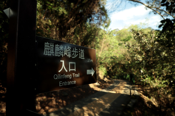 S步道|彰化|麒麟山步道|彰南一日秘境|田中鎮
