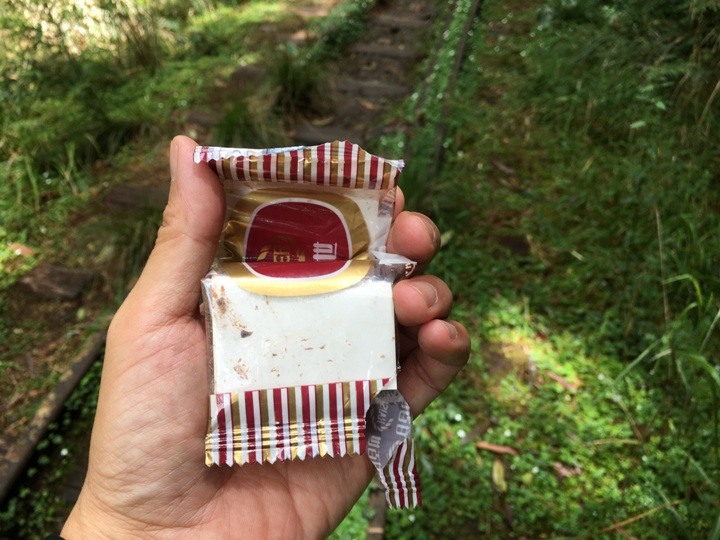 一個人探訪消失在雲霧中的森林鐵道-阿里山眠月線