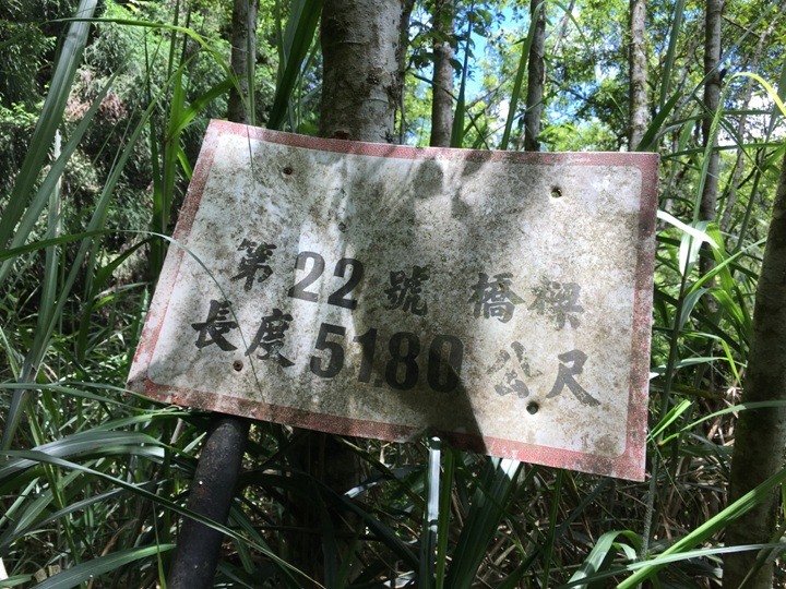一個人探訪消失在雲霧中的森林鐵道-阿里山眠月線