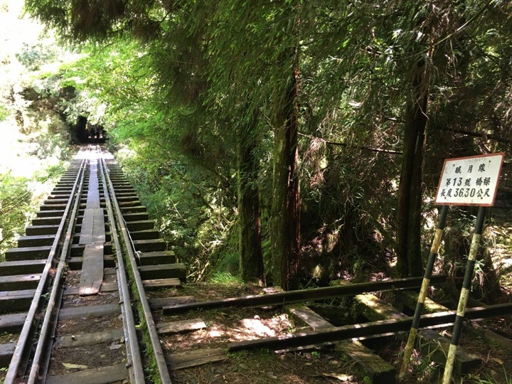 一個人探訪消失在雲霧中的森林鐵道-阿里山眠月線