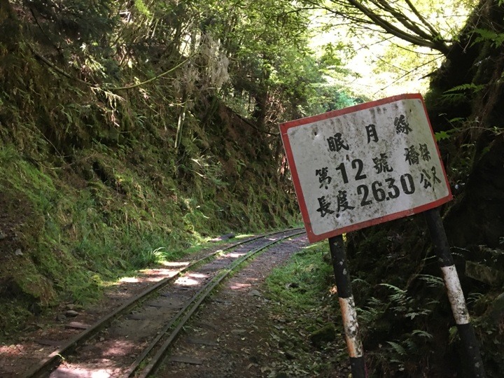 一個人探訪消失在雲霧中的森林鐵道-阿里山眠月線