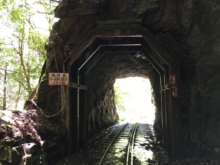 一個人探訪消失在雲霧中的森林鐵道-阿里山眠月線