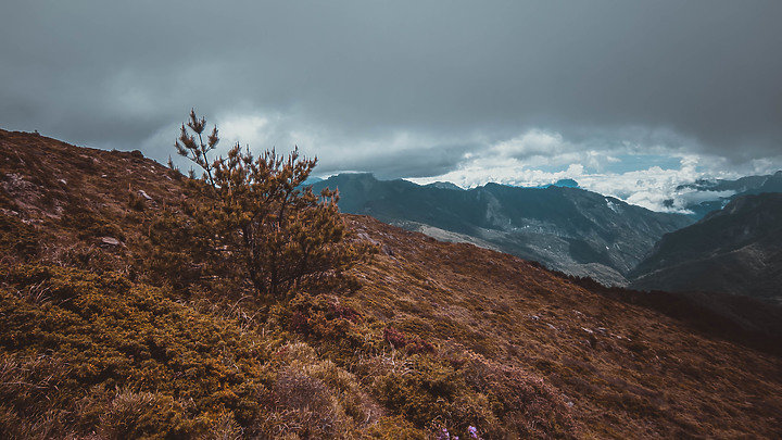 CP值爆表的百岳新手村—合歡北峰