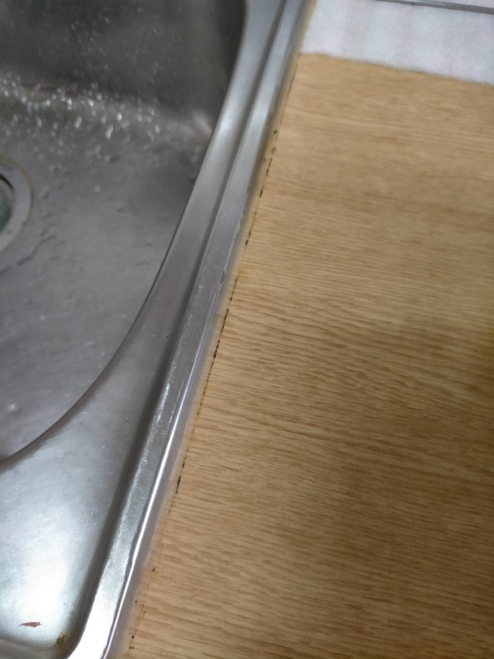 廚房不鏽鋼水槽速力康更新